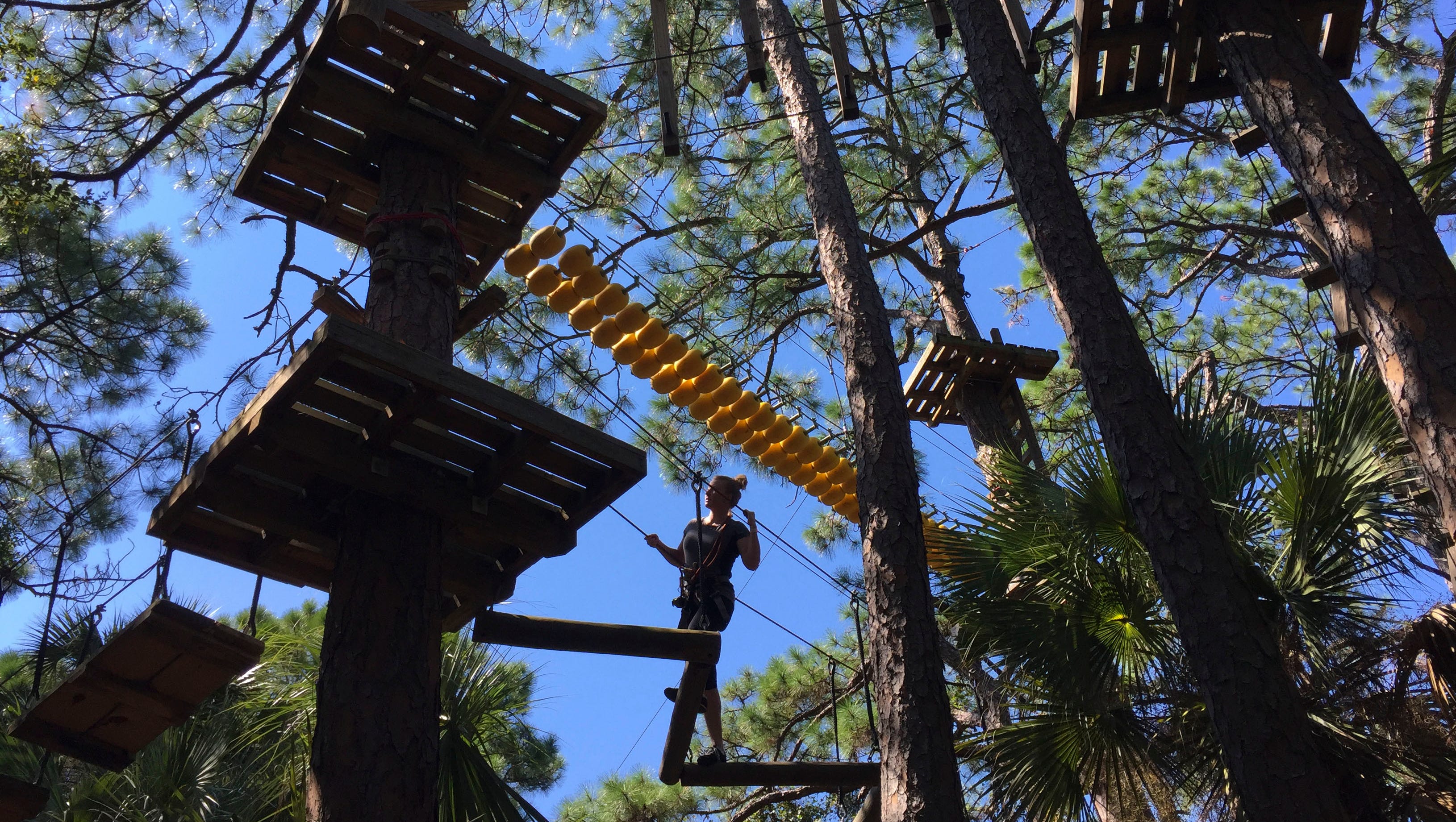 15 of the Best Places for Ziplining & Aerial Adventures in Florida ...